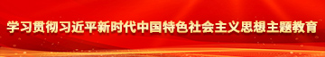 免费激情淫b学习贯彻习近平新时代中国特色社会主义思想主题教育